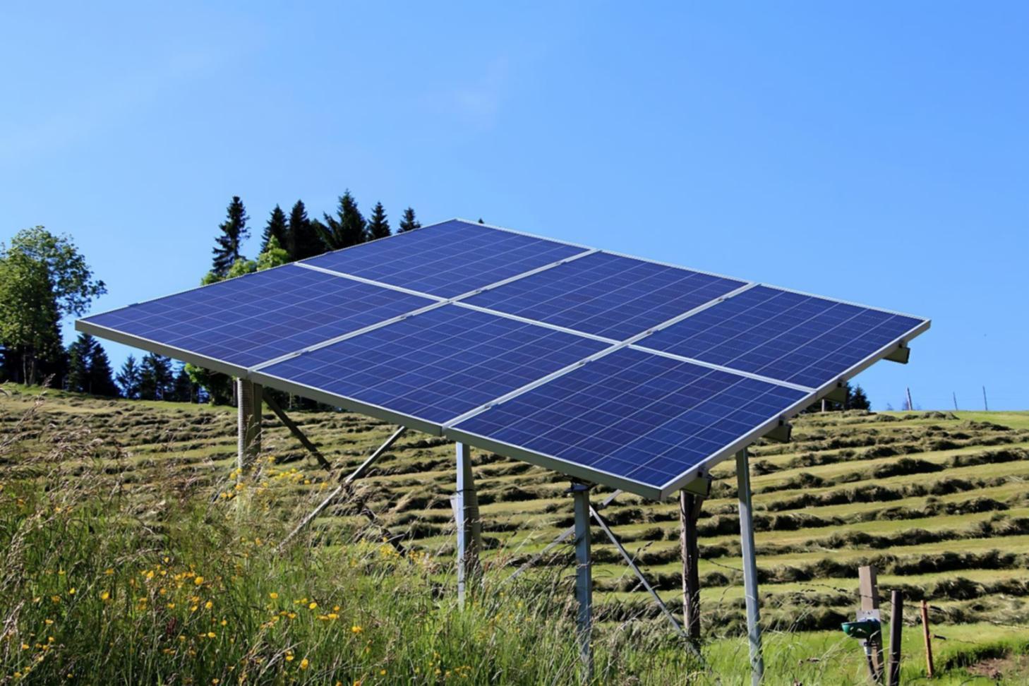 Équipe pédagogique en action